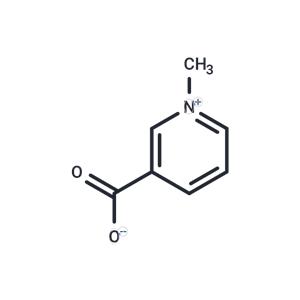 Trigonelline