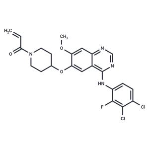 Poziotinib