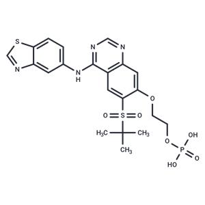 GSK2983559 free acid