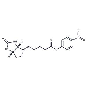 (+)-Biotin-ONP