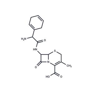 Cephradine