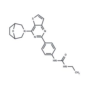 mTOR inhibitor 9b