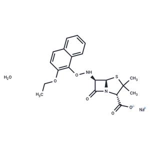 Nafcillin sodium monohydrate