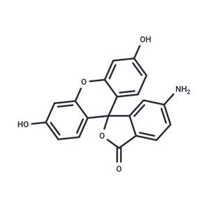 6-Aminofluorescein