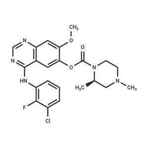 Zorifertinib