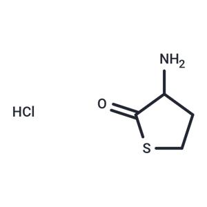 DL-Homocysteine thiolactone hydrochloride