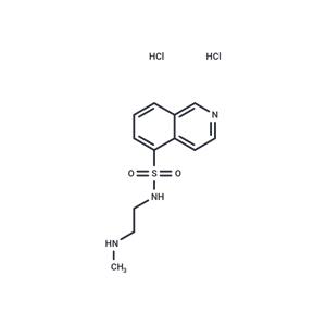 H-8 hydrochloride