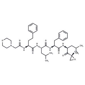 Carfilzomib