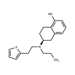 Rotigotine-