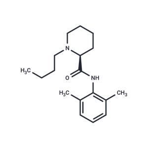 Levobupivacaine