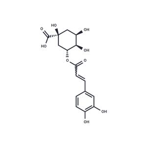 Chlorogenic Acid