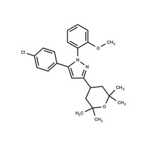 Cav 2.2 blocker 1