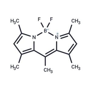 BODIPY 493/503