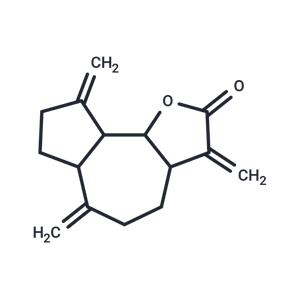 Dehydrocostuslactone