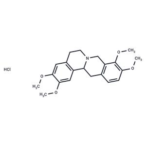 Tetrahydropalmatine hydrochloride