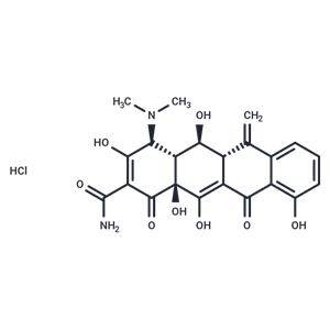 Methacycline hydrochloride