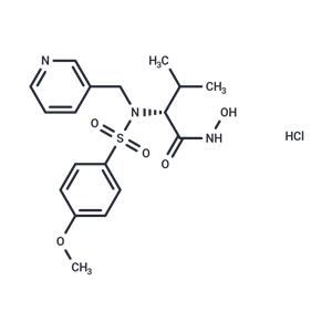 CGS 27023A