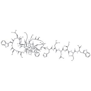 Endothelin-2 (49-69), human