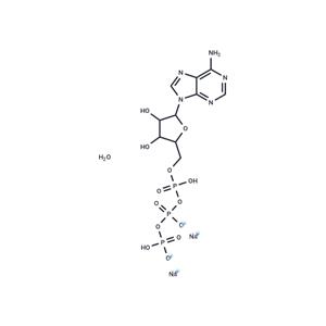 ATP disodium salt hydrate