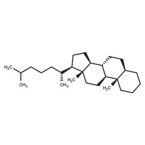 5α-Cholestane