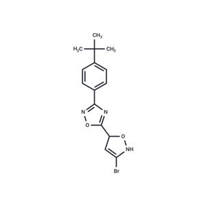 5-(3-bromo-4,5-dihydroisoxazol-5-yl)-3-(4-(tert-butyl)phenyl)-1,2,4-oxadiazole