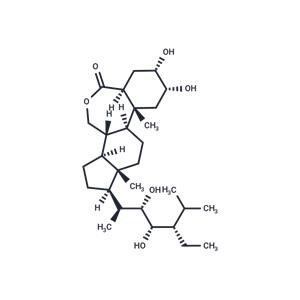 (22S,23S)-Homobrassinolide