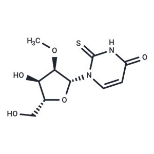 2'-O-Methyl-2-thiouridine