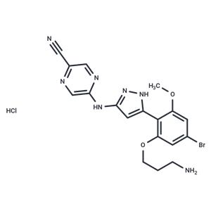 CHK1-IN-4 hydrochloride