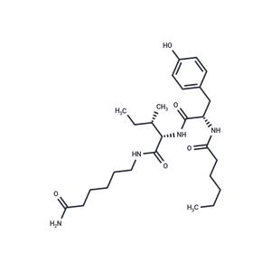 Dihexa