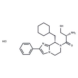 BIM-46174 HCl