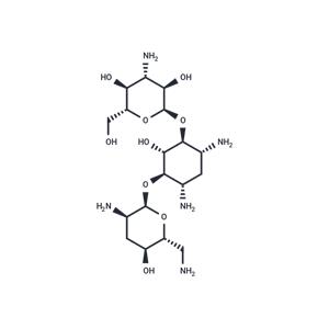 Tobramycin