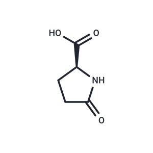 L-Pyroglutamic acid