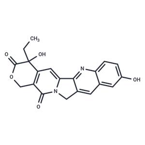 (±)-10-Hydroxycamptothecin