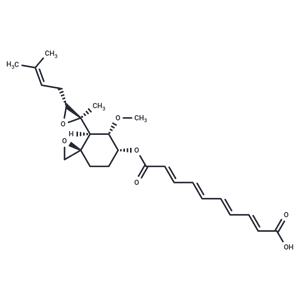 Fumagillin