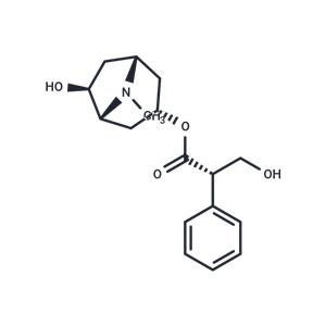 Anisodamine