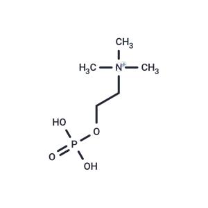 Phosphorylcholine