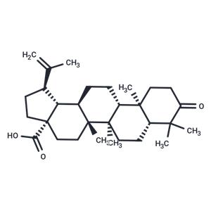 Betulonic acid