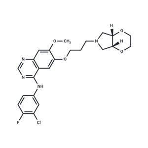 Larotinib