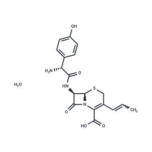 Cefprozil monohydrate