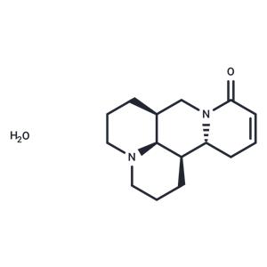 Sophocarpine monohydrate