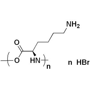 Poly-D-lysine hydrobromide (MW 30000-70000)