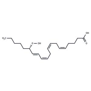 15(S)-HpETE