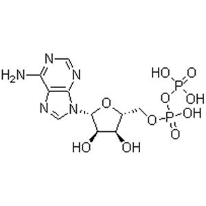 Adenosine 5'-diphosphate;ADP,5-ADP