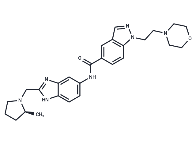 Eleven-Nineteen-Leukemia Protein IN-1