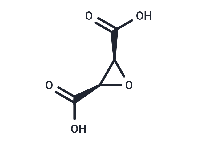 cis-Epoxysuccinic acid