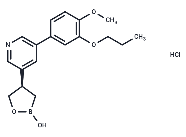 PF-07038124 HCl