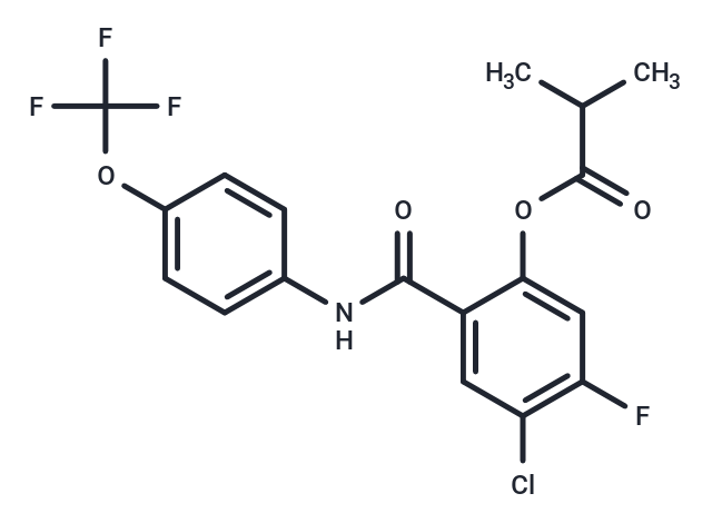 SARS-CoV-2-IN-38