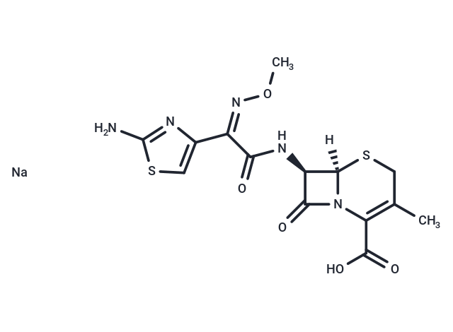 Cefetamet sodium