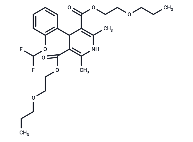 Cerebrocrast