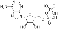 Adenosine 5'-diphosphate;ADP,5-ADP